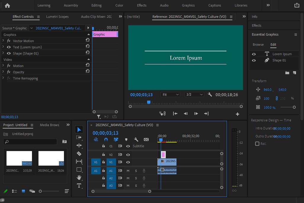 Adobe Premiere-videolokalisatie door Opticentre